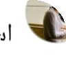 صورة Nader K.